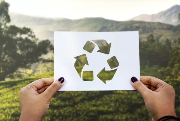 En Didex estamos comprometidos con el cuidado del medioambiente y por ello trabajamos con productos ecológicos, materiales reutilizables y realizamos prácticas sostenibles.